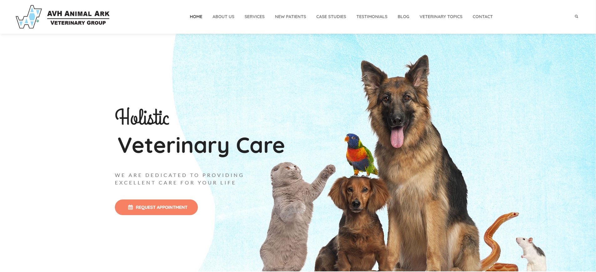 Animal Ark Veterinary Clinic
